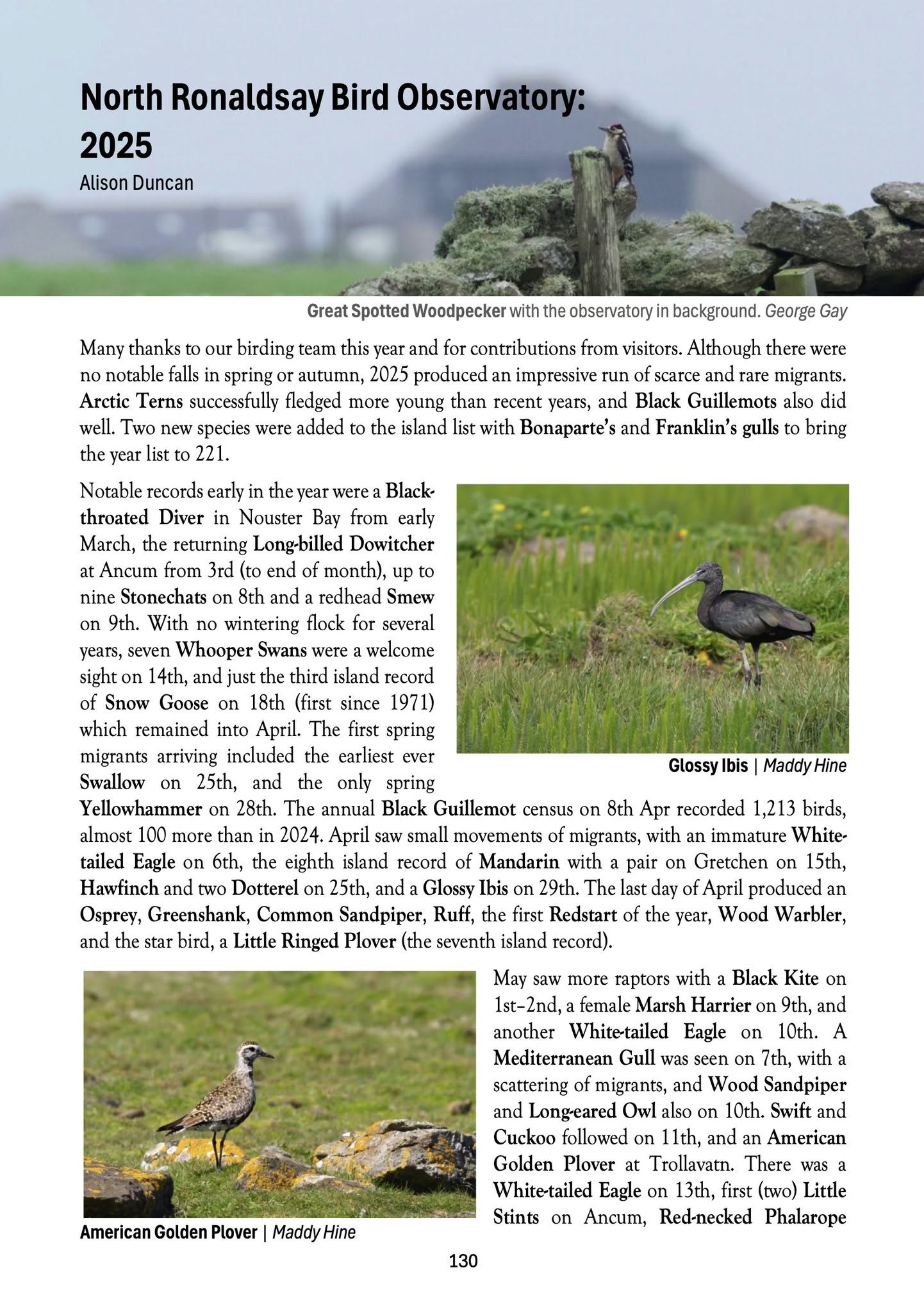 Orkney Bird Report 2025