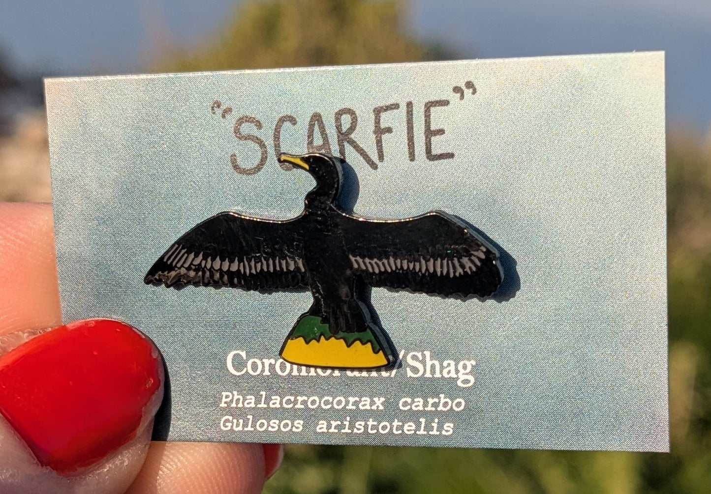 Scarfie/Cormorant/Shag Pin Badge