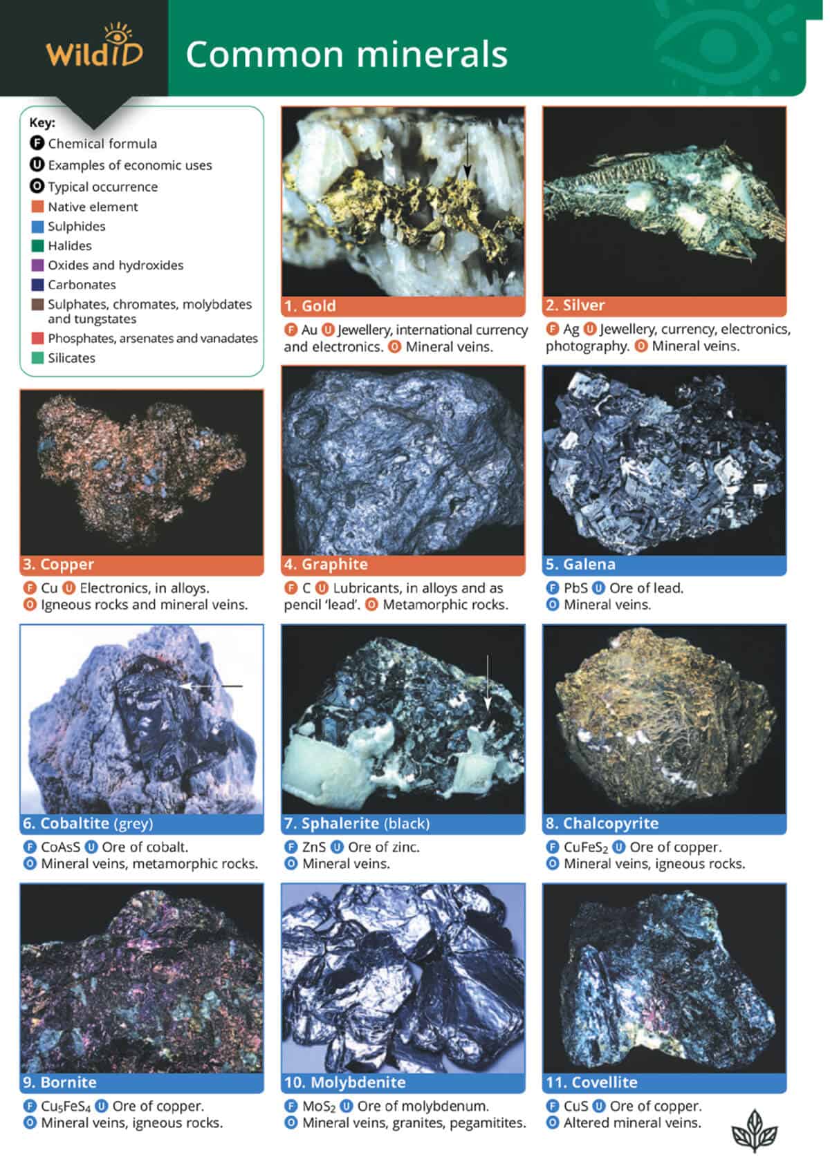 Fold-out Guides