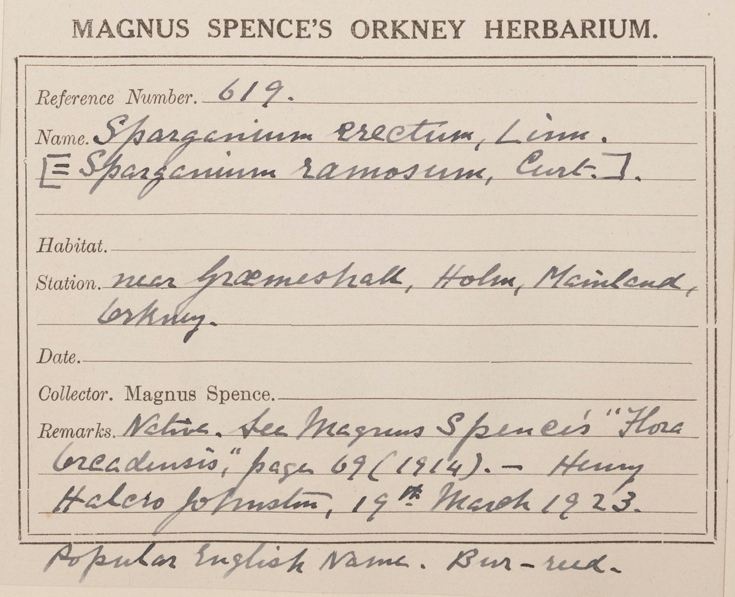 Branched Bur-Reed card