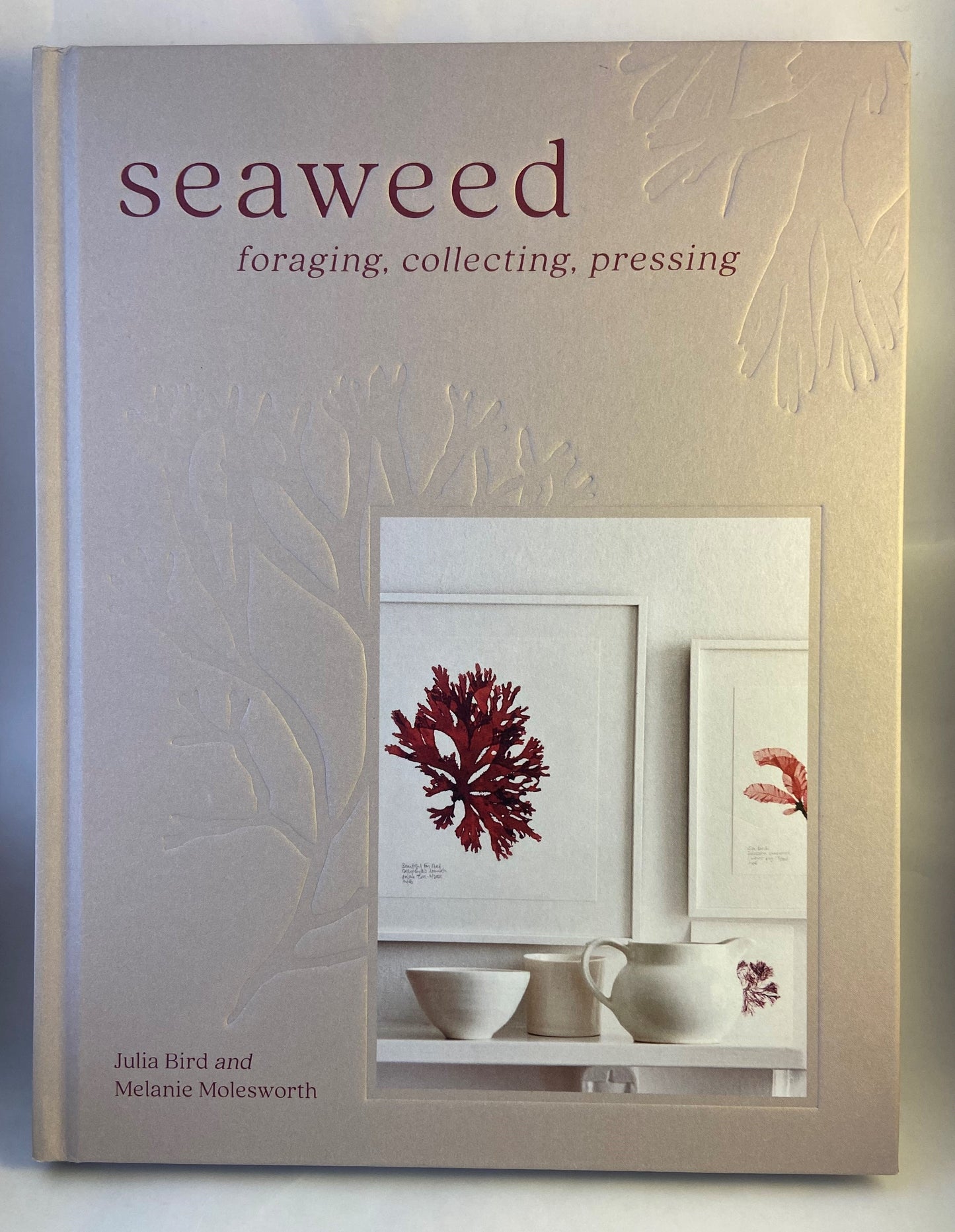 Seaweed foraging, collecting, pressing.