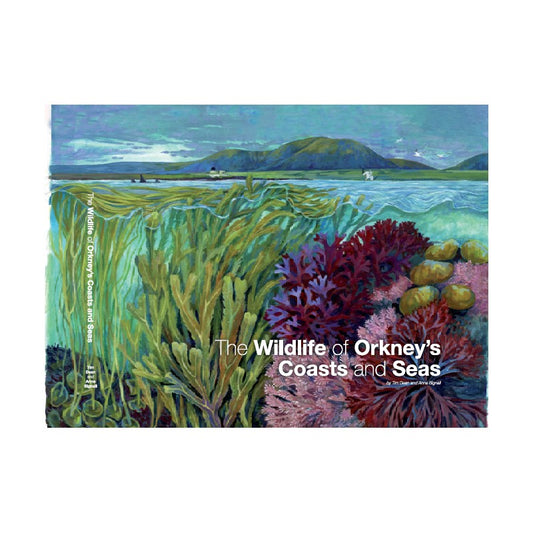 The Wildlife of Orkney's Coasts and Seas