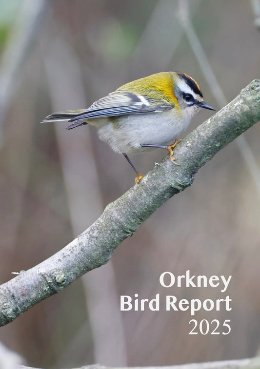 Orkney Bird Report 2025