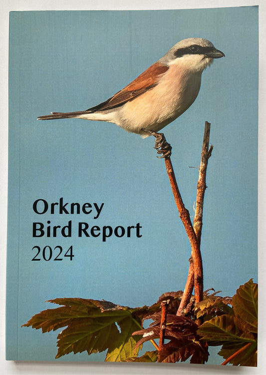 Orkney Bird Report 2024