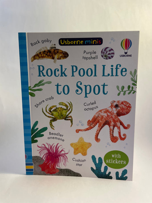 Rock Pool Life to Spot