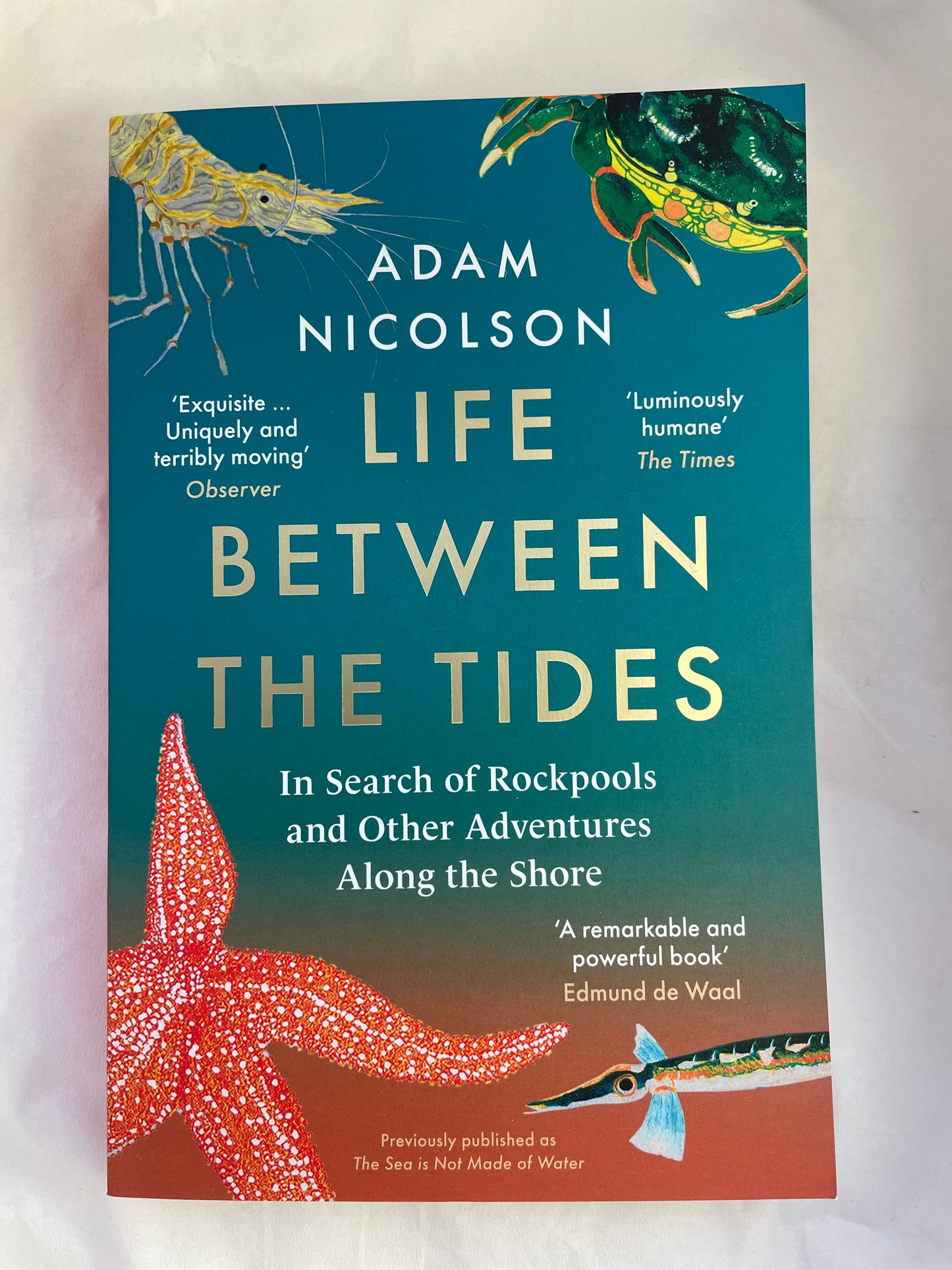 Life Between the Tides: In Search of Rockpools and Other Adventures Along the Shore
