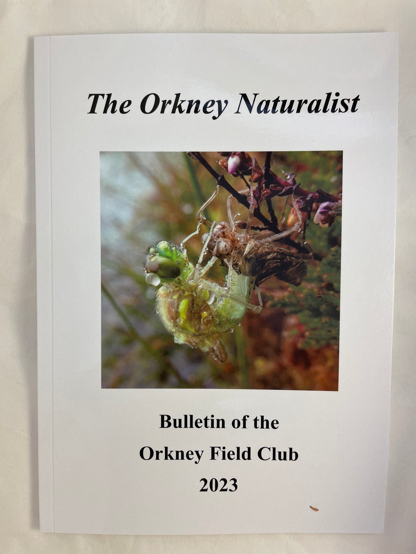 The Orkney Naturalist: Orkney Field Club Bulletin 2023