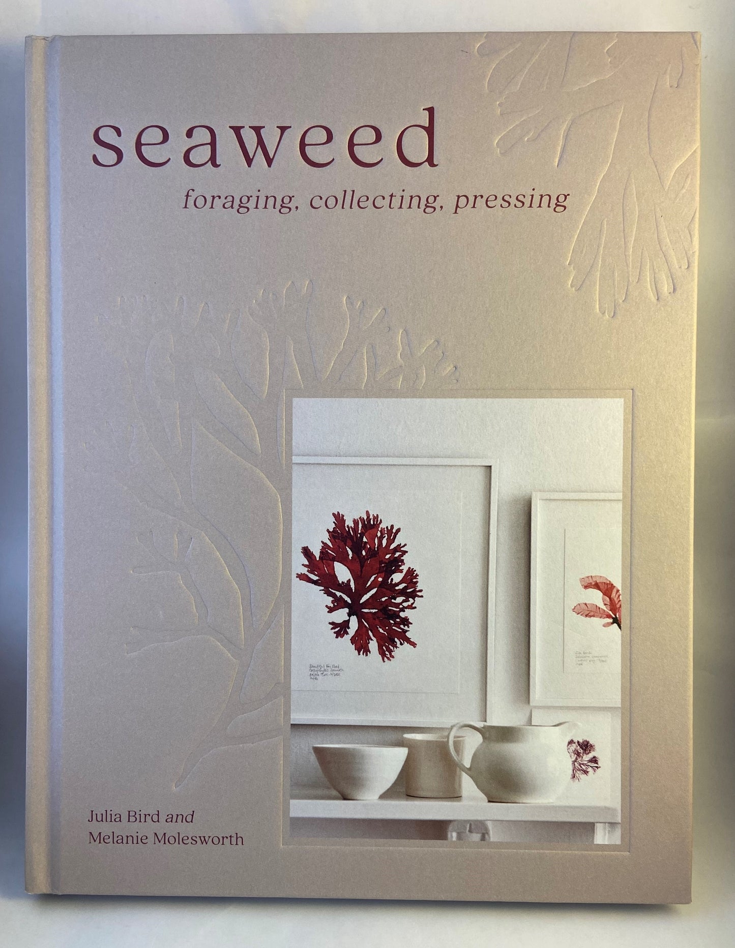 Seaweed: Foraging Collecting Pressing